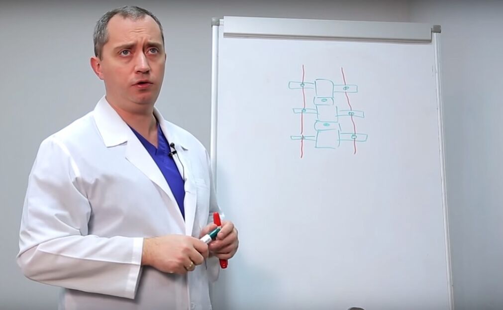 Բժիշկը ցույց է տալիս ողնաշարի կառուցվածքը